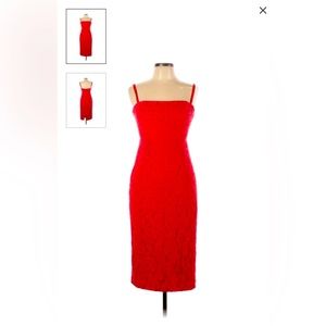 Euc Fame & Partners red lace dress slim fit